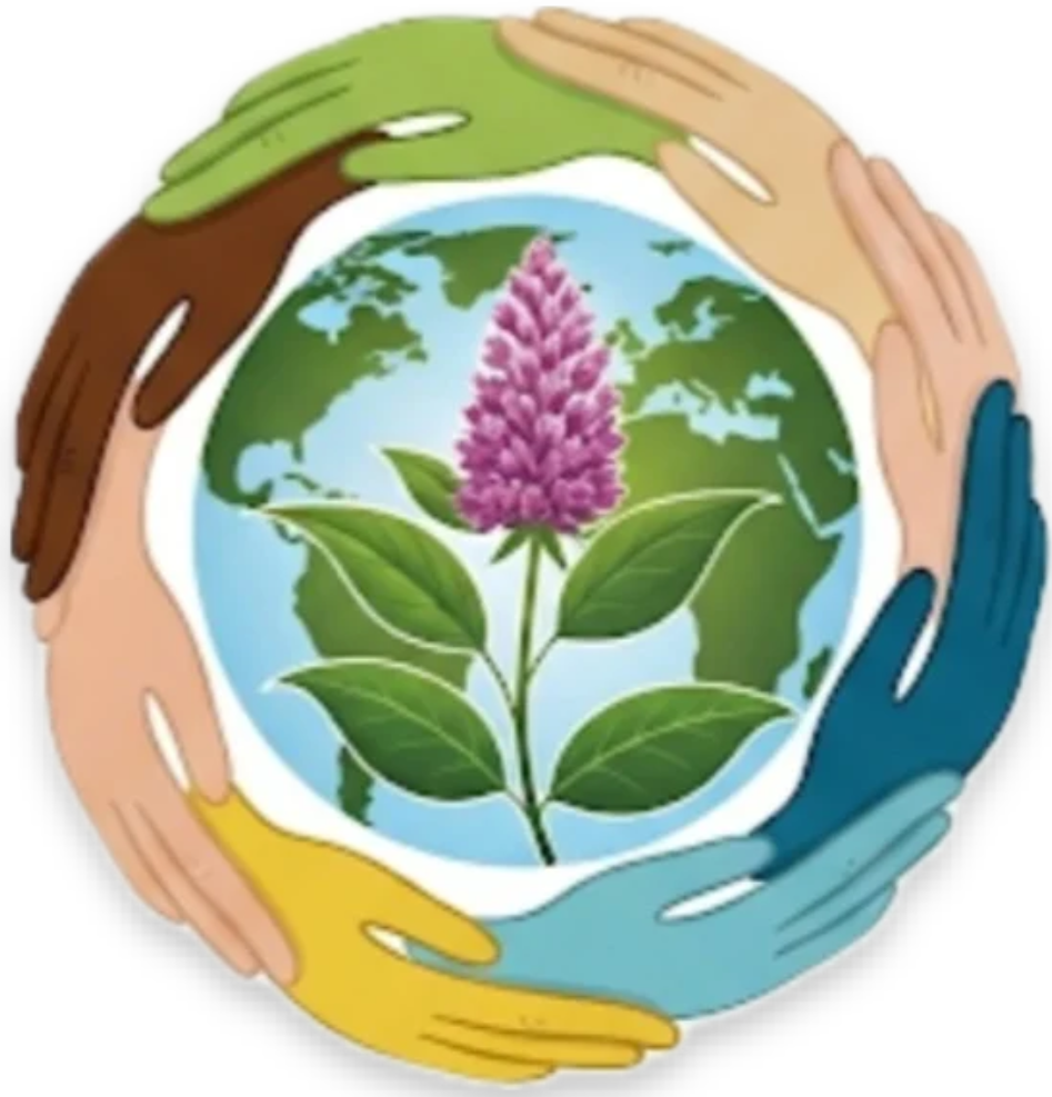 Healing the Nations Health and Wellness Herbal Store